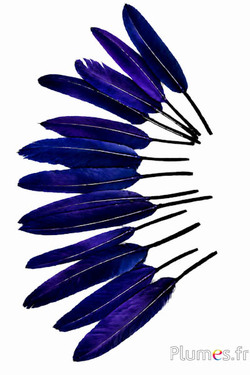 Gans - 10-15 cm - nachtblau-violett